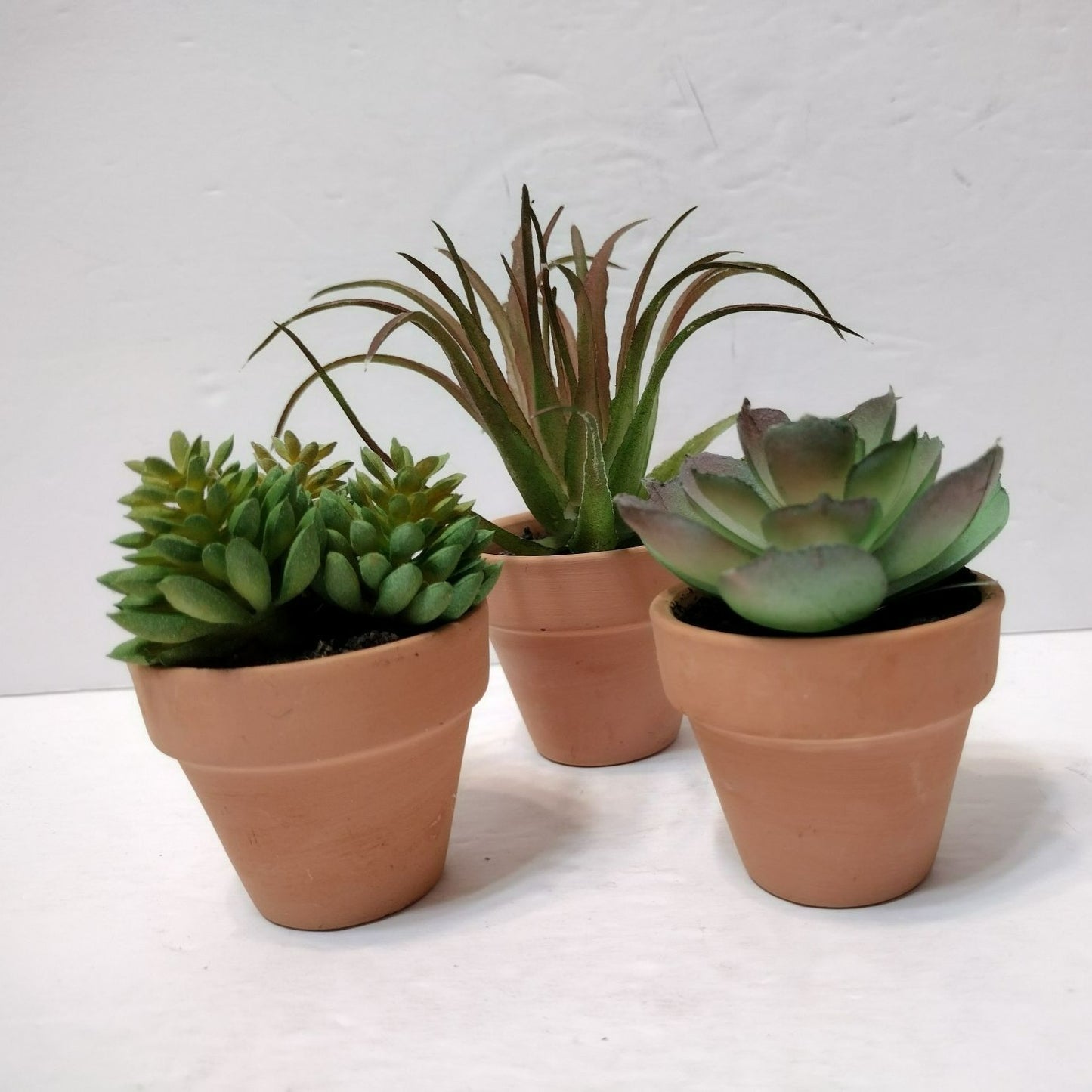 Set of 3 Faux Succulents in Terra Cotta Planters, Fake Houseplant Greenery Decor
