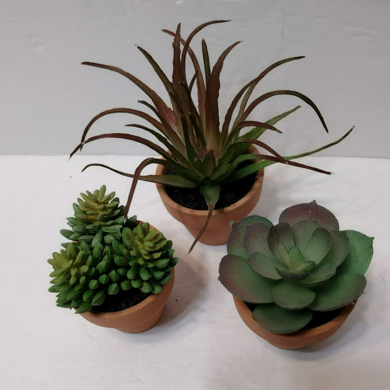 Set of 3 Faux Succulents in Terra Cotta Planters, Fake Houseplant Greenery Decor