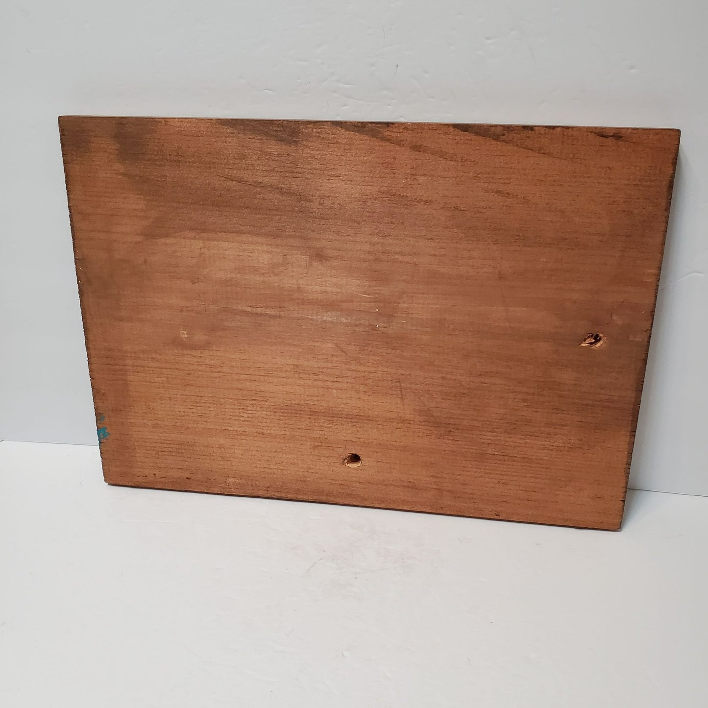 Rustic Wooden Wall Art Easily Distracted By Puppies Sign 16x11 Dog Lovers Decor