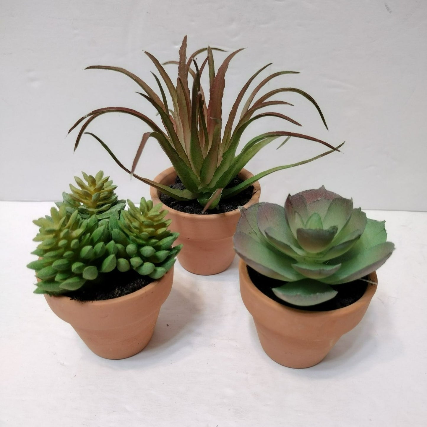 Set of 3 Faux Succulents in Terra Cotta Planters, Fake Houseplant Greenery Decor