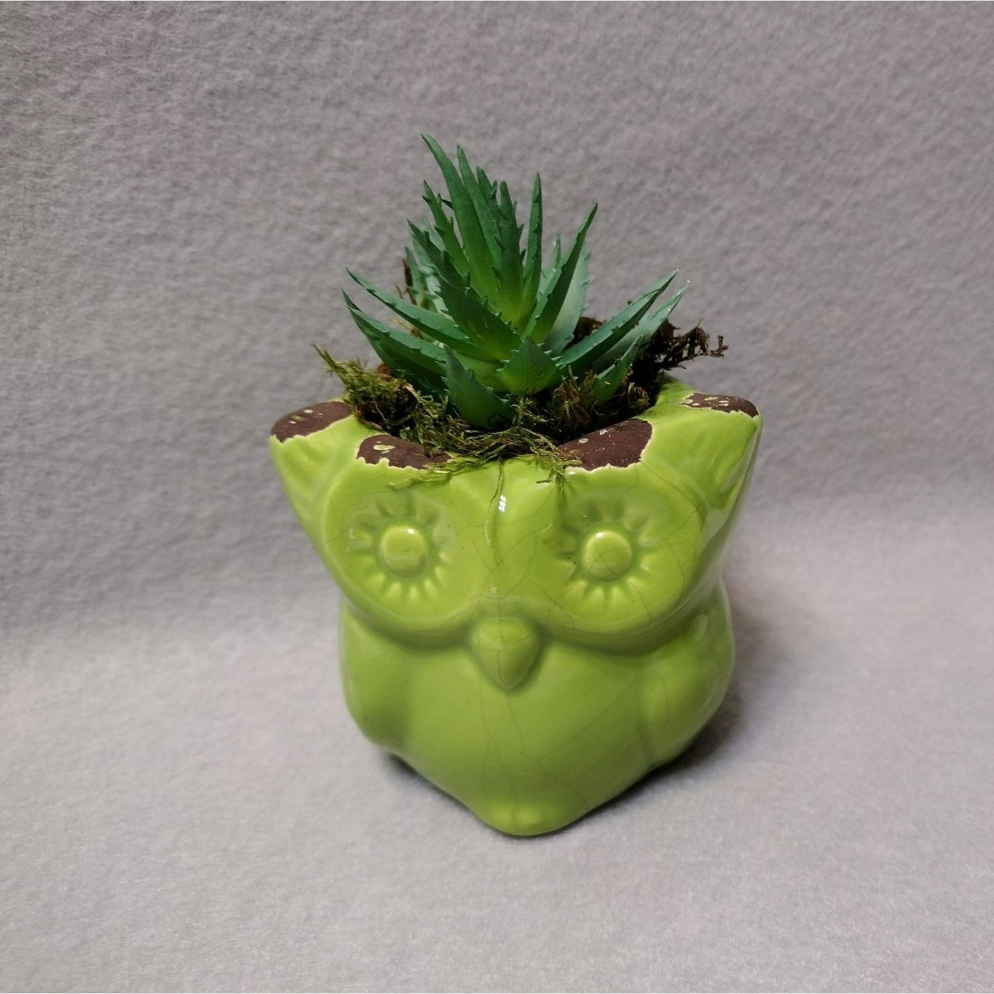 Owl Planter with Faux Succulent, Ceramic Lime Green Bird Plant Pot