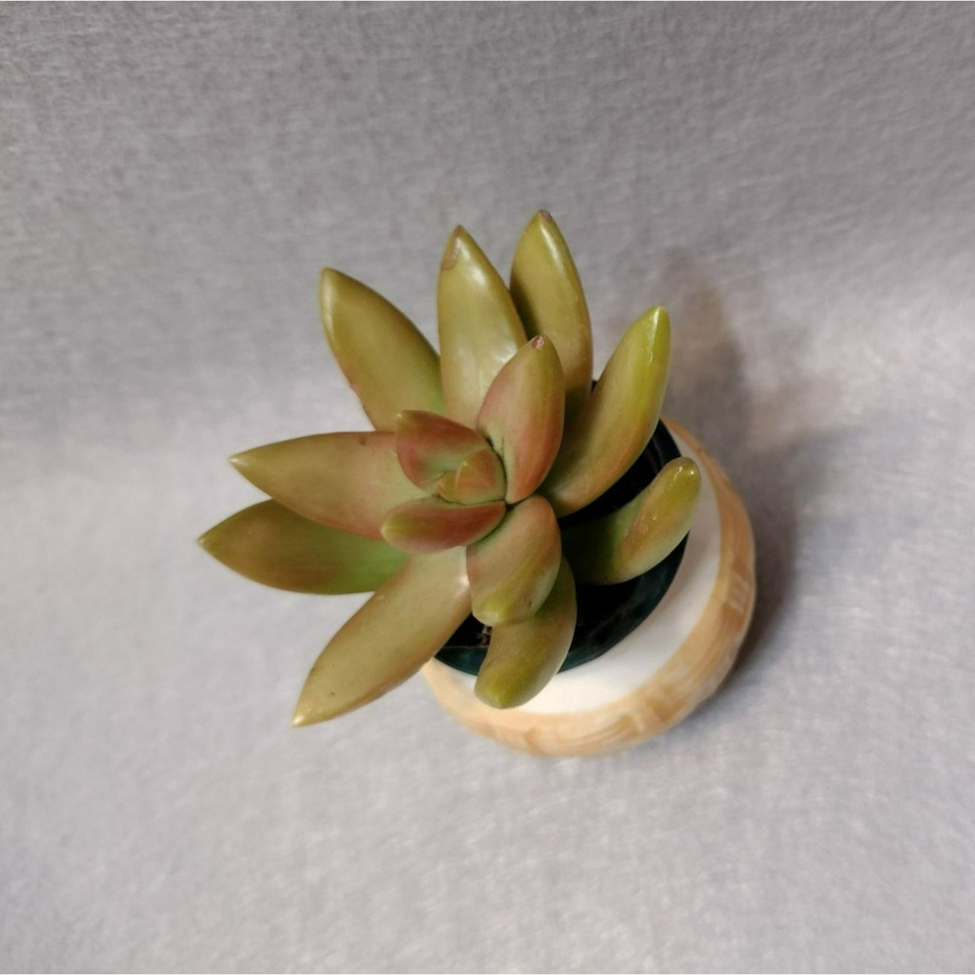 Miniature Ceramic Planter, Made in Japan Basket Weave Look Vintage Succulent Pot