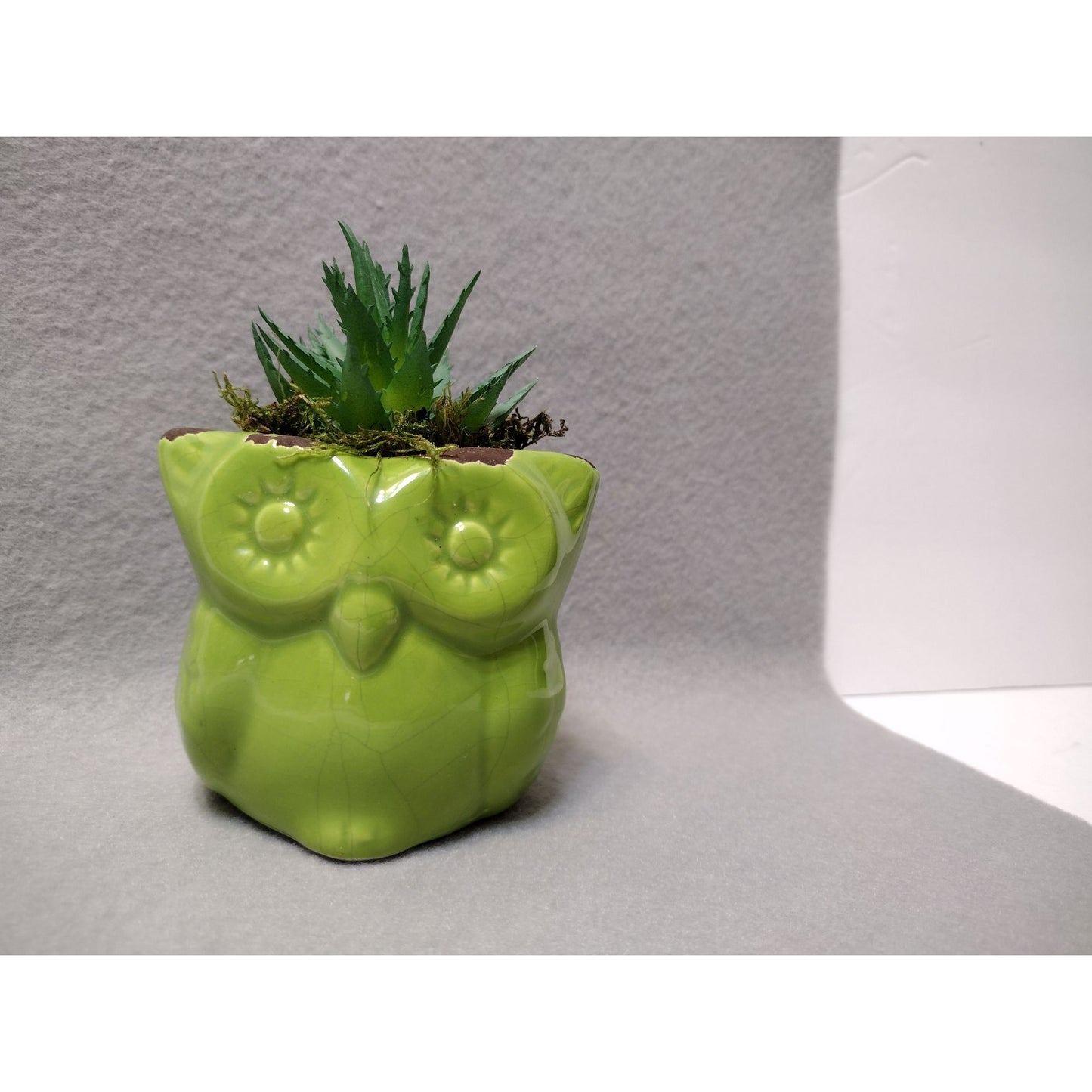 Owl Planter with Faux Succulent, Ceramic Lime Green Bird Plant Pot