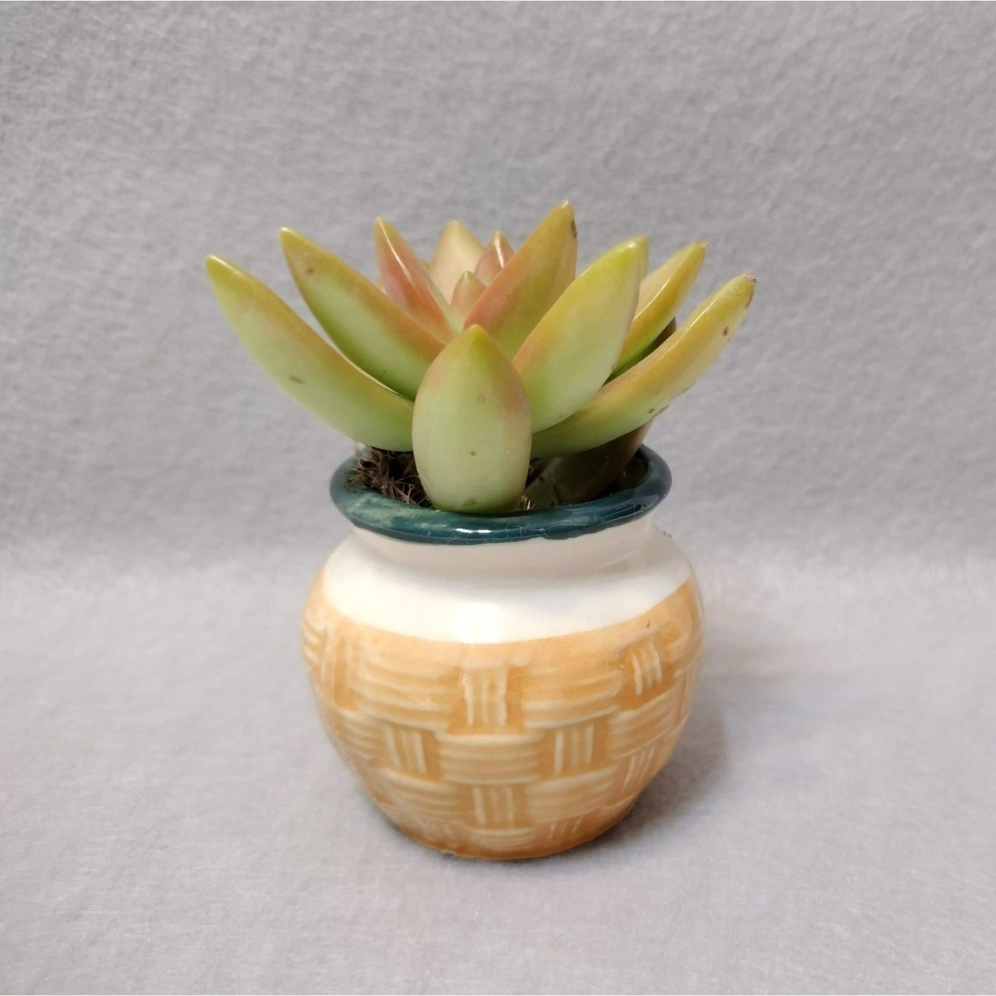 Miniature Ceramic Planter, Made in Japan Basket Weave Look Vintage Succulent Pot